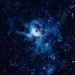 Baby Astrology