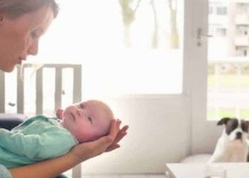 Pets and Your New Baby Tips To Prepare Your Pet