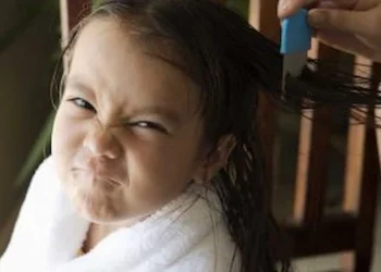 head lice