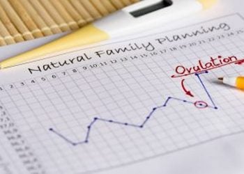 ovulation after your baby