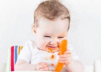 Baby Led Weaning What Is It and Should I Be Doing It