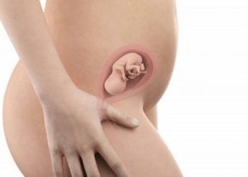 Weeks Pregnant Belly Ultrasound and Symptoms