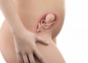 21 weeks pregnant