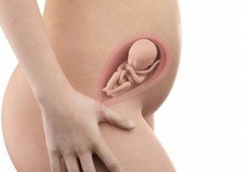 Weeks Pregnant Belly Symptoms and Baby Position