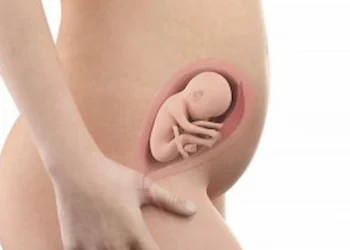 24 weeks pregnant