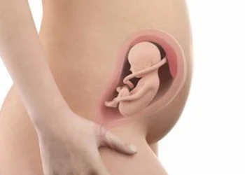 weeks pregnant