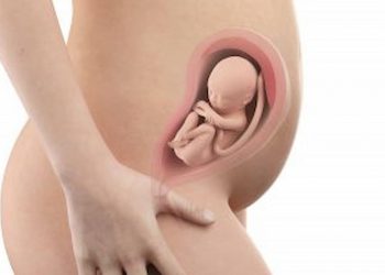 Weeks Pregnant – What to expect