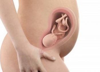 Weeks Pregnant Belly Ultrasound and Symptoms