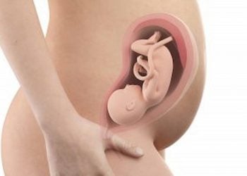 Weeks Pregnant Belly Baby Position And Symptoms