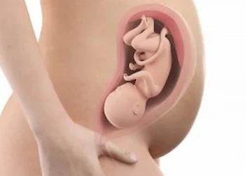 31 weeks pregnant