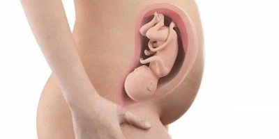 31 weeks pregnant