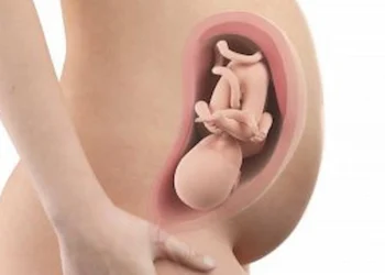 32 weeks pregnant
