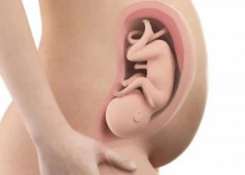 33 weeks pregnant
