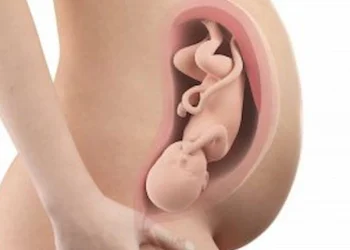 35 weeks pregnant