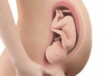 36 weeks pregnant