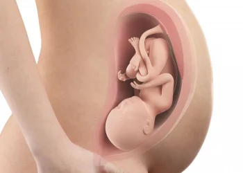 37 weeks pregnant
