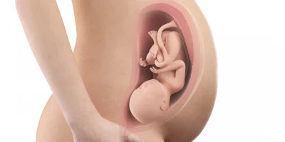 37 weeks pregnant