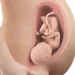 37 weeks pregnant