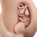 38 weeks pregnant