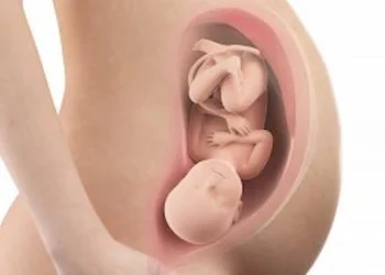weeks pregnant