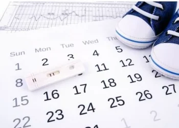 ovulation calendar