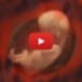 miracle of conception