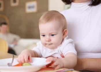 start on solids