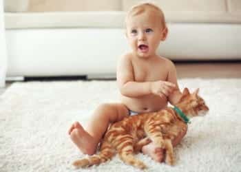 toddler thinks cat