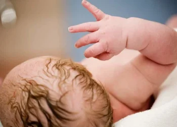 umbilical cord