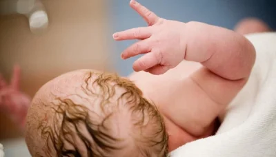 umbilical cord