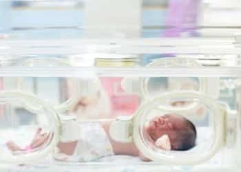 premature baby mortality