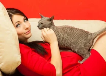 toxoplasmosis