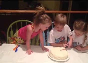 gender reveal gone wrong