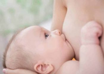 Can Breastmilk Fight Antibiotic Resistance Questions Answered