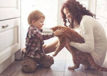 Fostering A Pet Reasons Why Your Family Should Try It