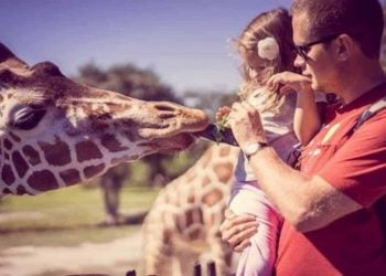 We Are Not The Zoo Why Everyday Is Special and Special Days Are Meaningless