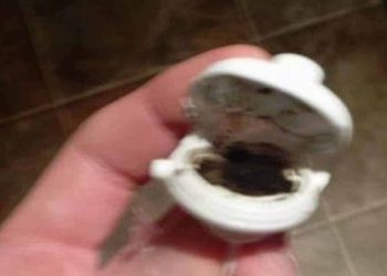 Does Your Toddlers Sippee Cup Contain Mold
