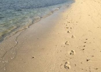 Things I Learned When I Took A Holiday Alone Without Kids