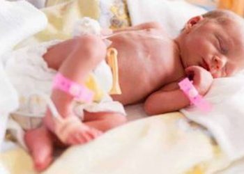 Artificial Placenta – Could It Save Premature Babies