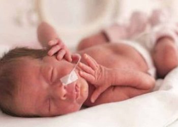 The Importance Of Breastmilk For Premature Babies Brains Study
