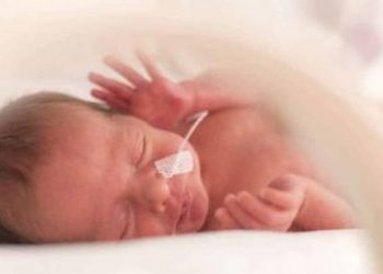 Breastmilk Is Important For Premature Babies Heart Study