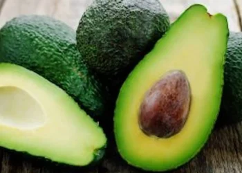 avocados during pregnancy