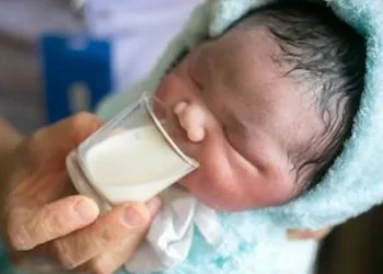 express breastmilk