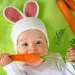 Baby Led Weaning