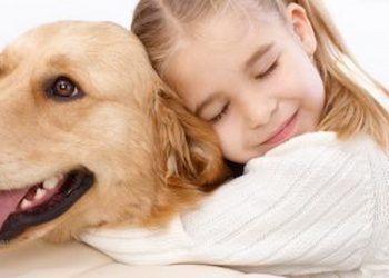 Cuddle Clones A Comforting Option If You Have Lost A Pet