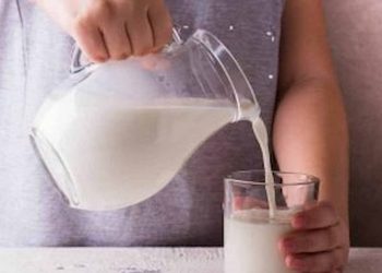 cows milk