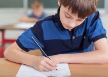 Things You Need to Know About NAPLAN