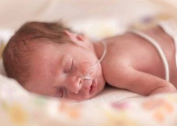 Premature Survival Rates By Week