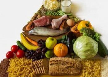Did The Food Pyramid Cause Our Obesity Crisis Major Mistakes Health Officials Made