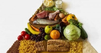 Did The Food Pyramid Cause Our Obesity Crisis Major Mistakes Health Officials Made